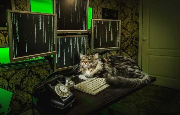 Квест Матрица: Перезагрузка - фото 3/4