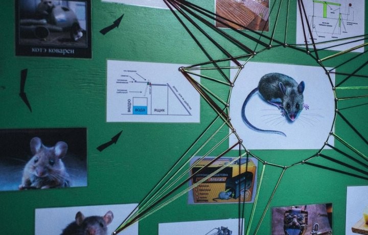 Квест Мышеловка - фото 2/3