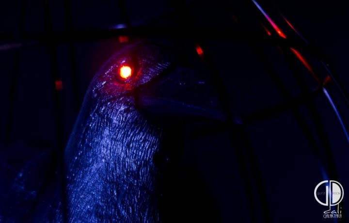 Квест Сон I: Транс - фото 2/3