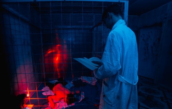 Квест Эволюция - фото 3/3