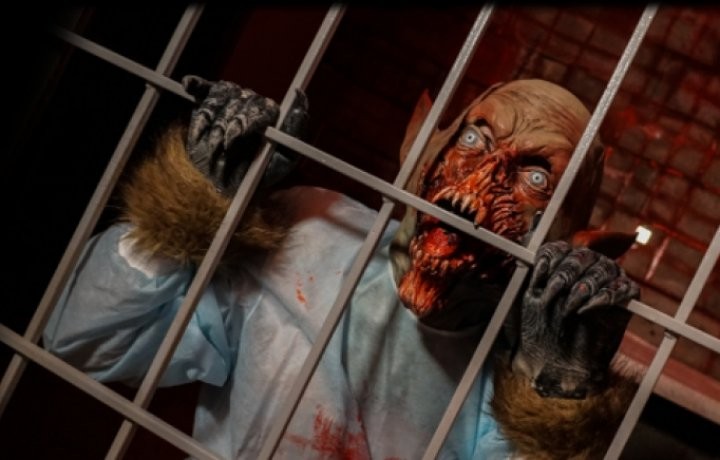 Квест Проект Psycho - фото 1/1